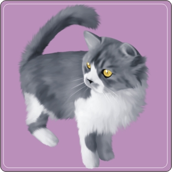 寵物Q版畫 貓咪Q版畫 PNP-009